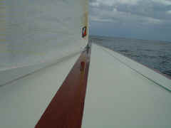 DSC00765.JPG (430657 Byte)