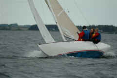 DSC_6144.JPG (31927 Byte)