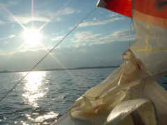 DSC05287.JPG (491322 Byte)